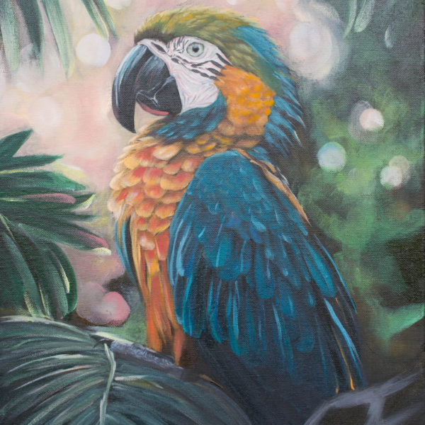 the warmth between worlds